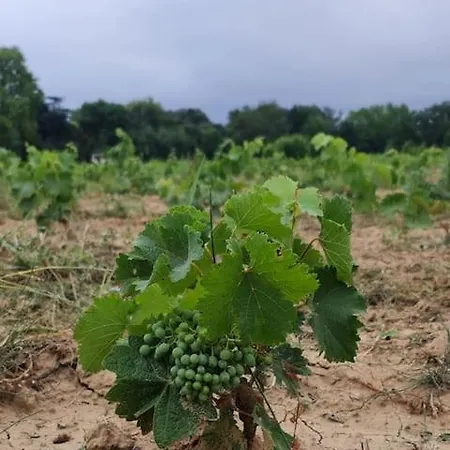 Domaine Villecarla 1, Canal Du Midi Carcassonne Lejlighed